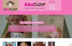 baby-chimp